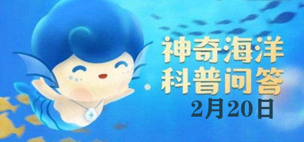 螃蟹为何喜欢将沙子滚成球？