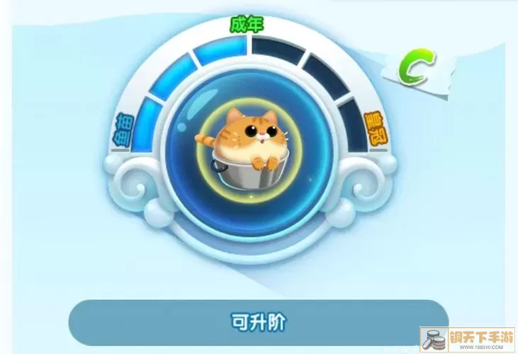 萌鱼品种培养技巧
