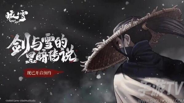 《探寻暖雪朱雀的神秘魅力：全面评测与解析》