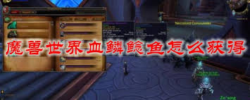 《探索魔兽世界：血鳞鲶鱼食谱解锁秘籍》