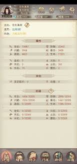 《修炼心得：凡人传说中的功法搭配技巧揭秘》