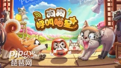 宠物乐园：狗狗与猫咪的阵容组合指南