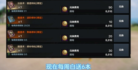 《命运方舟》最新版本更新——探索单人模式商店全览