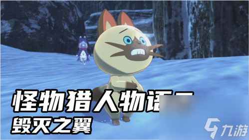《怪物猎人》游戏攻略：全面流程解析与技巧分享