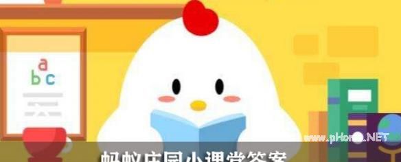 小鸡庄园最新版本答题攻略：12.3版详解