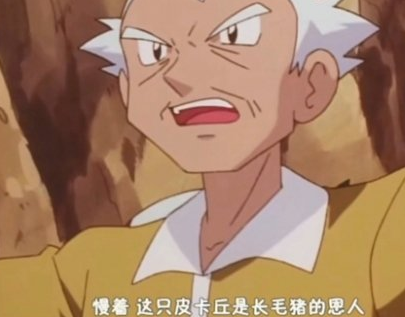 寶可夢寶可夢史詩級挑戰：柳伯戰略及打法