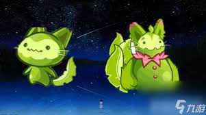 《洛克王国宠物进化指南：揭秘魔力猫成长之道》