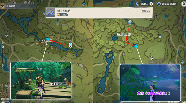 原神 树王圣体菇 采集指南