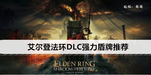 最强艾尔登法环DLC护甲选择
