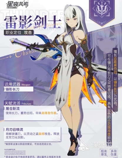 星痕共鸣职业体系全面解析