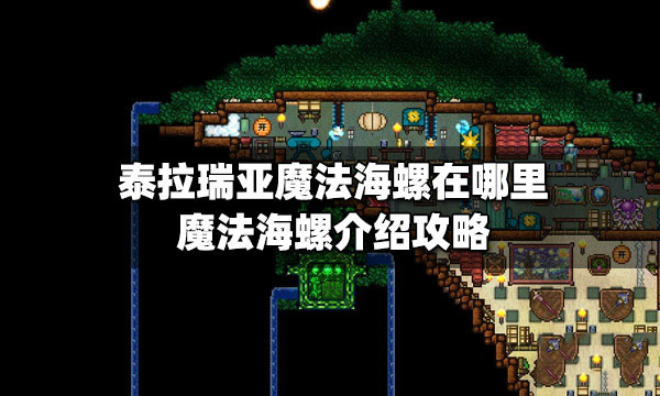 泰拉瑞亚：揭秘魔法海螺的获取方法
