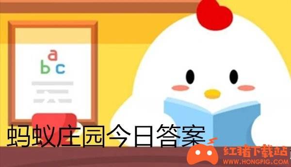 蚂蚁庄园 寻宝大作战！奇异果和猕猴桃真的同一种水果？