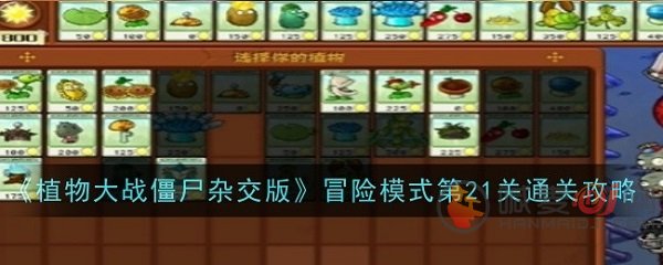 植物大战僵尸杂交版通关攻略:  conquer Level 21