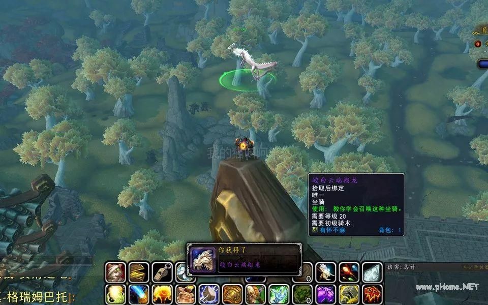 魔兽世界玛瑙翔龙蛋出现时间一览