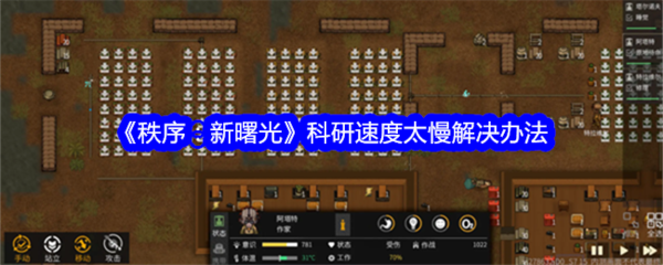 提升科研效率：探索加快研究步伐的策略与途径