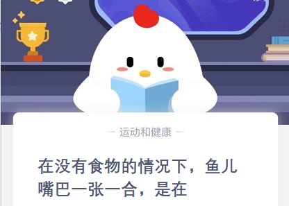 揭秘鱼类呼吸：嘴巴一张一合的奥秘